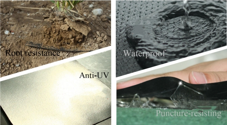 ISO Certification 0.75mm GM 13 HDPE Geomembrane Shrimp Pond Liner