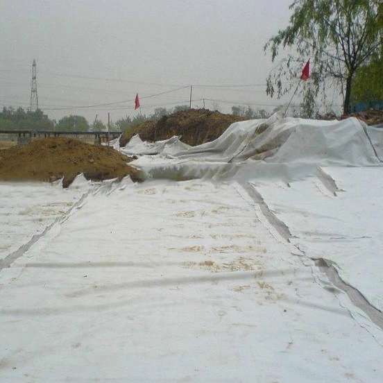 Best Strength LDPE EVA LLDPE Composite Geomembrane